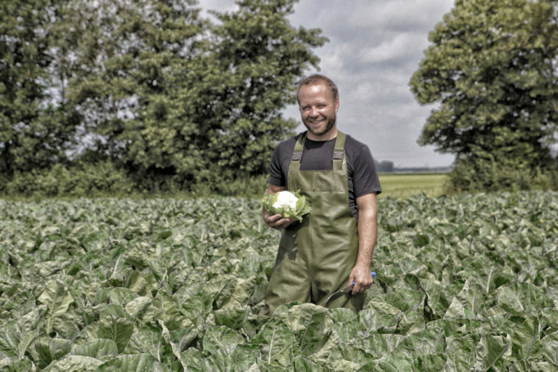 Bedrijfsfotografie bloemkool teler Caplan EkoPlaza Marcel de Graaf fotografie Deventer